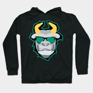 USF Hoodie